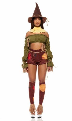 Straw For Brains Storybook Costume