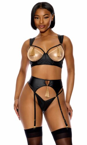 Show Stopper Metallic Mesh Bra and Garter Belt Lingerie Set - Black Gold