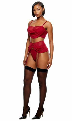 Princess Treatment Draped Mesh Bra and Garter Belt Lingerie Set - Wine