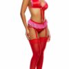 No Strings Attached Satin and Mesh Lace Trim Bra and Garter Belt Lingerie Set - Red Pink