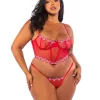 Peppermint Kiss Plus Size 2-Piece Bustier Set